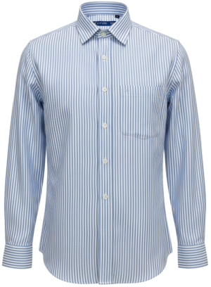 blue striped oxford shirt